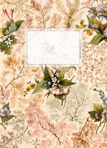 Блокнот A6. Розы