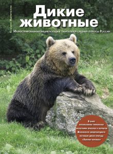 Митителло К.Б. - Дикие животные: Иллюстрированная энциклопедия обитателей средней полосы России обложка книги Митителло К.Б. - Дикие животные: Иллюстрированная энциклопедия обитателей средней полосы России обложка книги