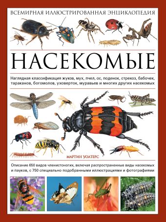 Насекомые. Всемирная иллюстрированная энциклопедия Насекомые. Всемирная иллюстрированная энциклопедия Уолтерс М.