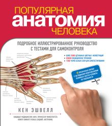 Популярная анатомия человека. Подробное иллюстрированное руководство с тестами для самоконтроля обложка книги Популярная анатомия человека. Подробное иллюстрированное руководство с тестами для самоконтроля обложка книги