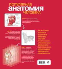 Обложка сзади Популярная анатомия человека. Подробное иллюстрированное руководство с тестами для самоконтроля Кен Эшвелл
