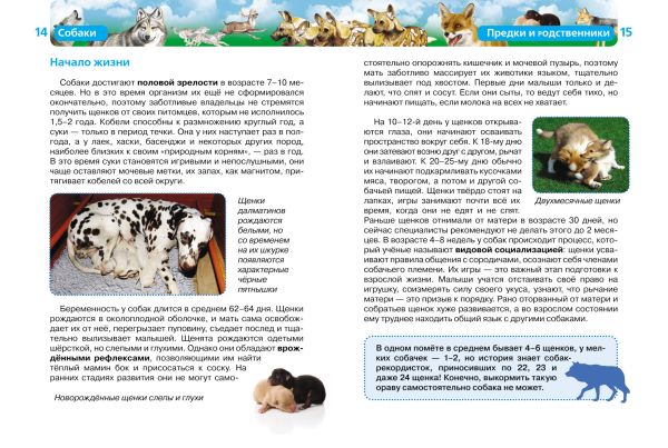 Собаки (ДЭР) Собаки (ДЭР)
