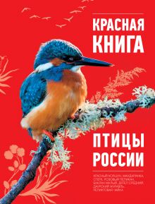 Обложка Красная книга. Птицы России Оксана Скалдина
