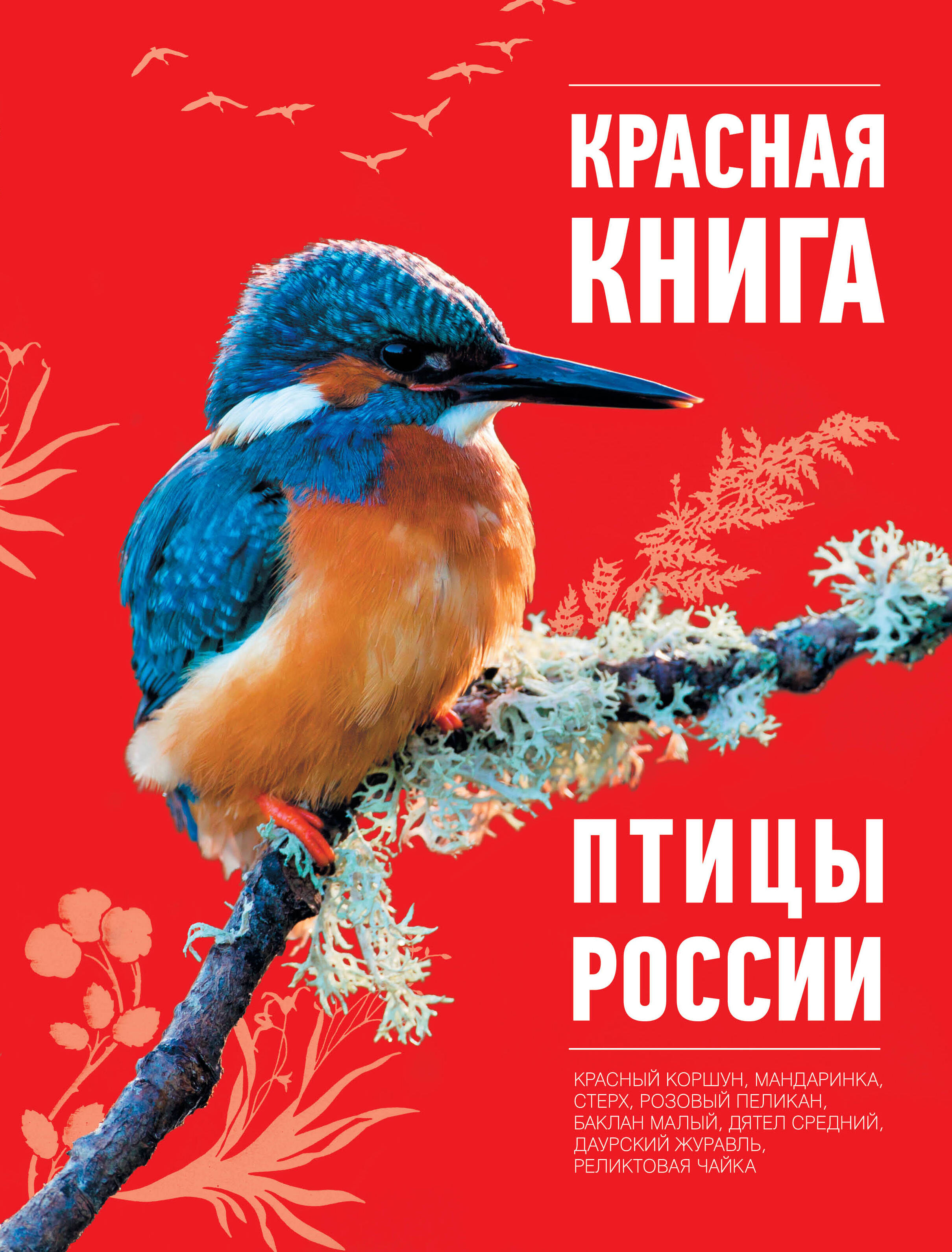 Презентация Красная Книга Оренбуржья