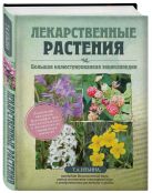 Лекарственные растения. Большая иллюстрированная энциклопедия Лекарственные растения. Большая иллюстрированная энциклопедия