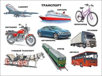 Транспорт Транспорт