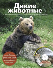 Митителло К.Б. - Дикие животные: Иллюстрированная энциклопедия обитателей средней полосы России (+CD) обложка книги Митителло К.Б. - Дикие животные: Иллюстрированная энциклопедия обитателей средней полосы России (+CD) обложка книги