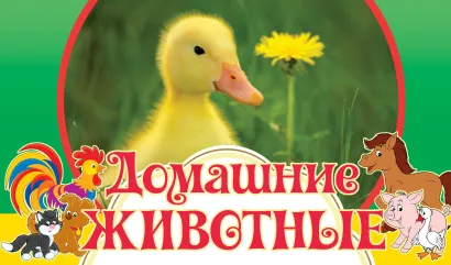 Обложка Домашние животные 