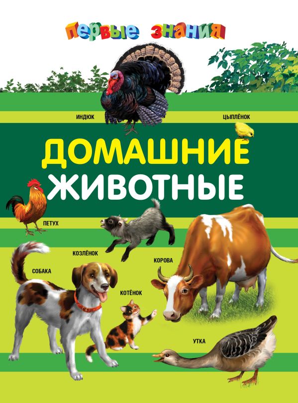 Домашние животные Домашние животные Тарасик Д.И.