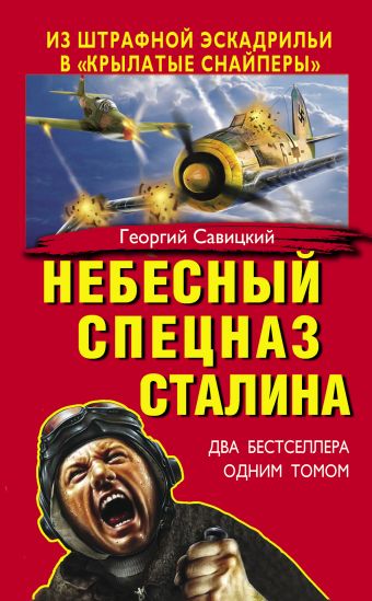 Небесный спецназ Сталина. Из штрафной эскадрильи в «крылатые снайперы» Небесный спецназ Сталина. Из штрафной эскадрильи в «крылатые снайперы» Савицкий Г.