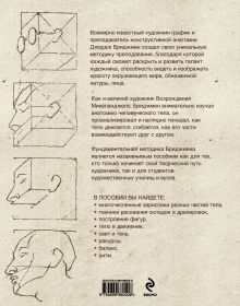 Обложка сзади Фигура человека. Основы академического рисунка. Суперобложка 