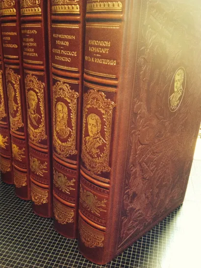 Обложка Разделяй и властвуй! Записки триумфатора