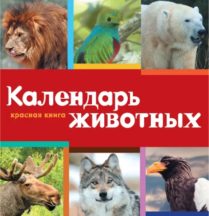Обложка Календарь. Красная книга Оксана Скалдина, Евгений Слиж, Светлана Дудникова