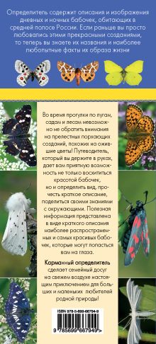 Обложка сзади Бабочки. Определитель самых популярных бабочек Митителло К.Б.