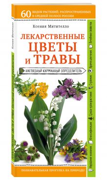 Митителло К.Б. - Лекарственные растения и травы. Определитель трав русских лесов и полей обложка книги Митителло К.Б. - Лекарственные растения и травы. Определитель трав русских лесов и полей обложка книги