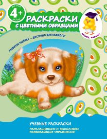 4+ Раскраски с цветными образцами