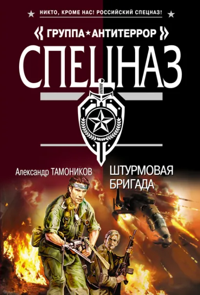 Обложка Штурмовая бригада Александр Тамоников
