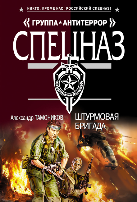 Штурмовая бригада Штурмовая бригада Тамоников А.А.