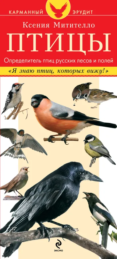 Обложка Птицы. Определитель птиц русских лесов и полей Митителло К.Б.