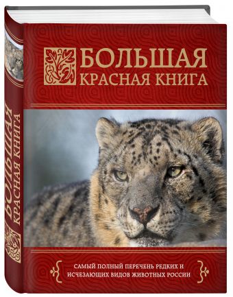 Большая красная книга Большая красная книга Скалдина О.В., Слиж Е.А.
