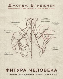 Фигура человека. Основы академического рисунка. В новой суперобложке
