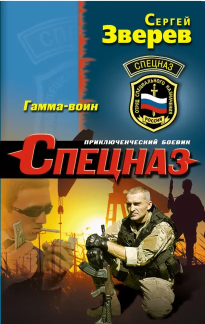 Обложка Гамма-воин Сергей Зверев