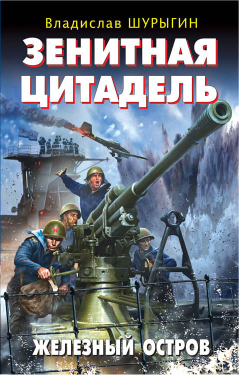 Зенитная цитадель. «Не тронь меня!» Зенитная цитадель. «Не тронь меня!» Шурыгин В.И.