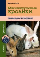 Мясошкурковые кролики. Прибыльное разведение Мясошкурковые кролики. Прибыльное разведение