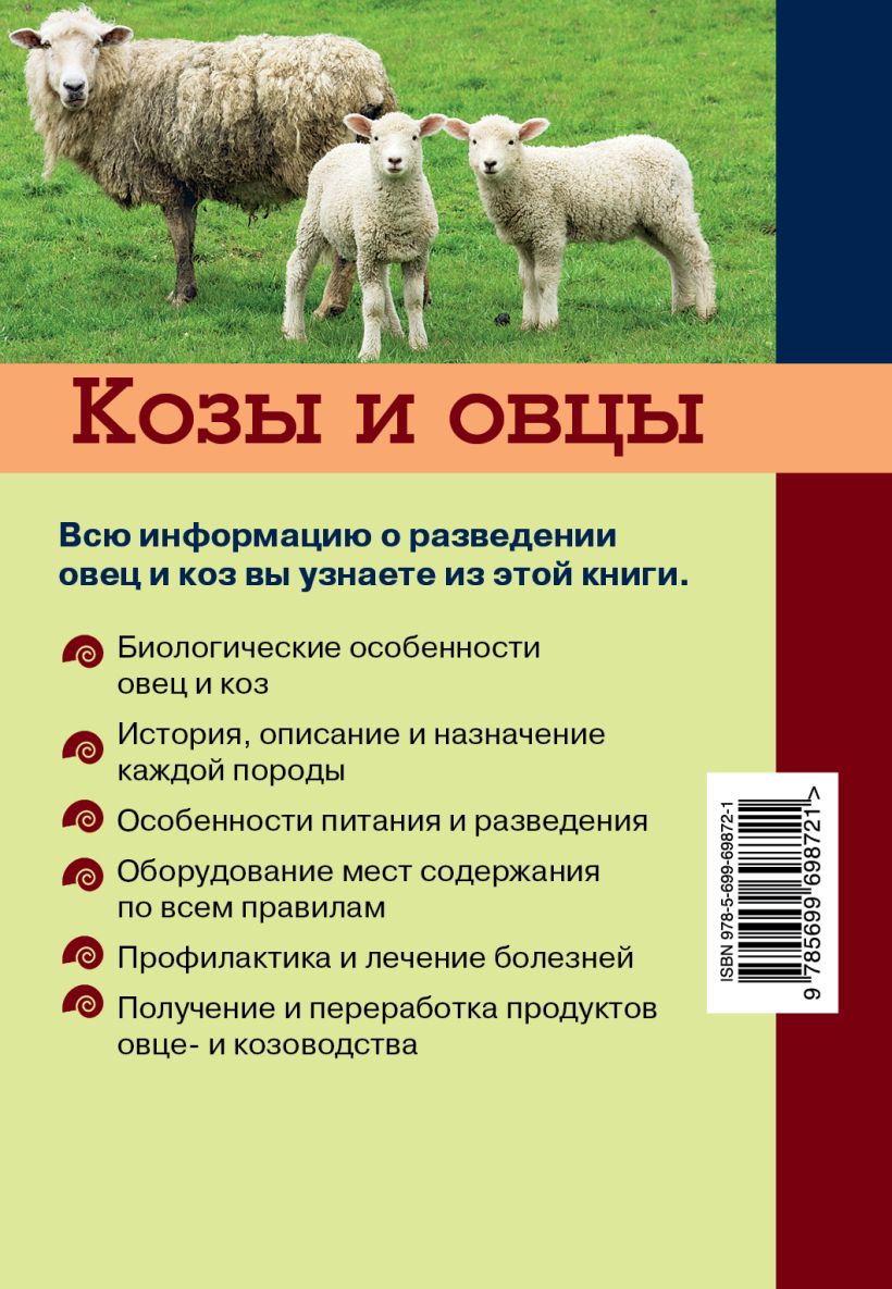 Книга Козы и овцы Елена Плотникова - купить, читать онлайн отзывы и  рецензии | ISBN 978-5-699-69872-1 | Эксмо