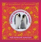 5+ Почему пингвины не летают? Твой яркий мир животных 5+ Почему пингвины не летают? Твой яркий мир животных