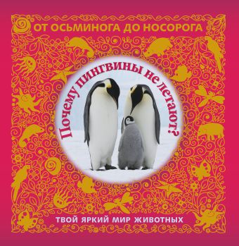 5+ Почему пингвины не летают? Твой яркий мир животных 5+ Почему пингвины не летают? Твой яркий мир животных