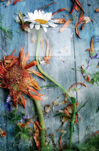 Обложка Блокнот для записей Магическое лето А5 