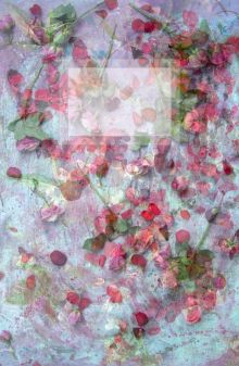 Обложка Блокнот для записей Магия красной розы А5 