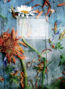 Комплект Магическое лето