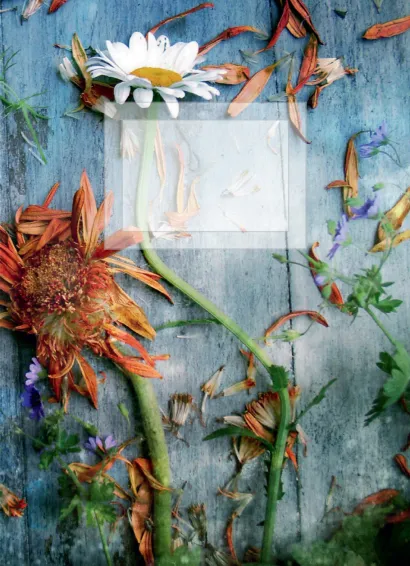 Обложка Комплект Магическое лето 