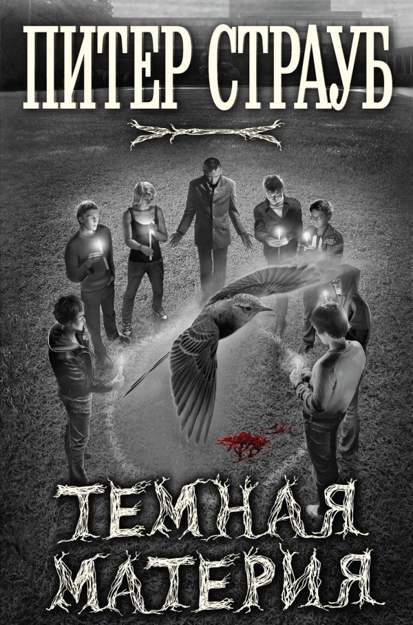 Темная материя Темная материя Страуб П.