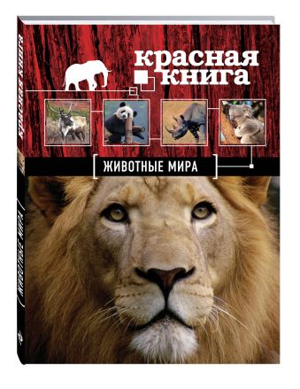 Красная книга. Животные мира Красная книга. Животные мира Скалдина О.В., Слиж Е.А.