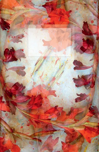 Обложка Комплект Красный восторг А5 