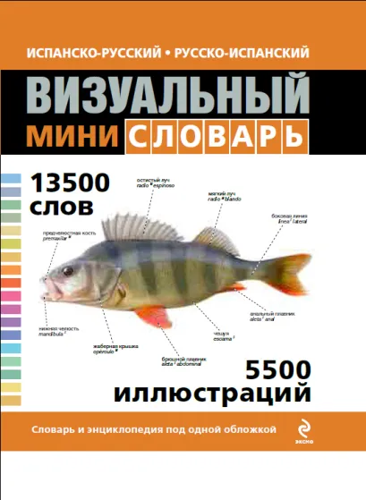 Обложка Испанско-русский русско-испанский визуальный мини-словарь 