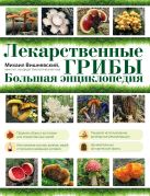 Лекарственные грибы. Большая энциклопедия Лекарственные грибы. Большая энциклопедия