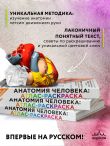 Анатомия человека: атлас-раскраска