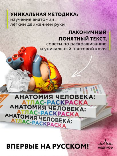 Анатомия человека: атлас-раскраска