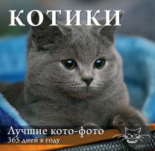 Обложка Календарь. Котики: Лучшие кото-фото. 365 дней в году (оформление 1) 