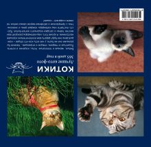 Обложка сзади Календарь. Котики: Лучшие кото-фото. 365 дней в году (оформление 1) 