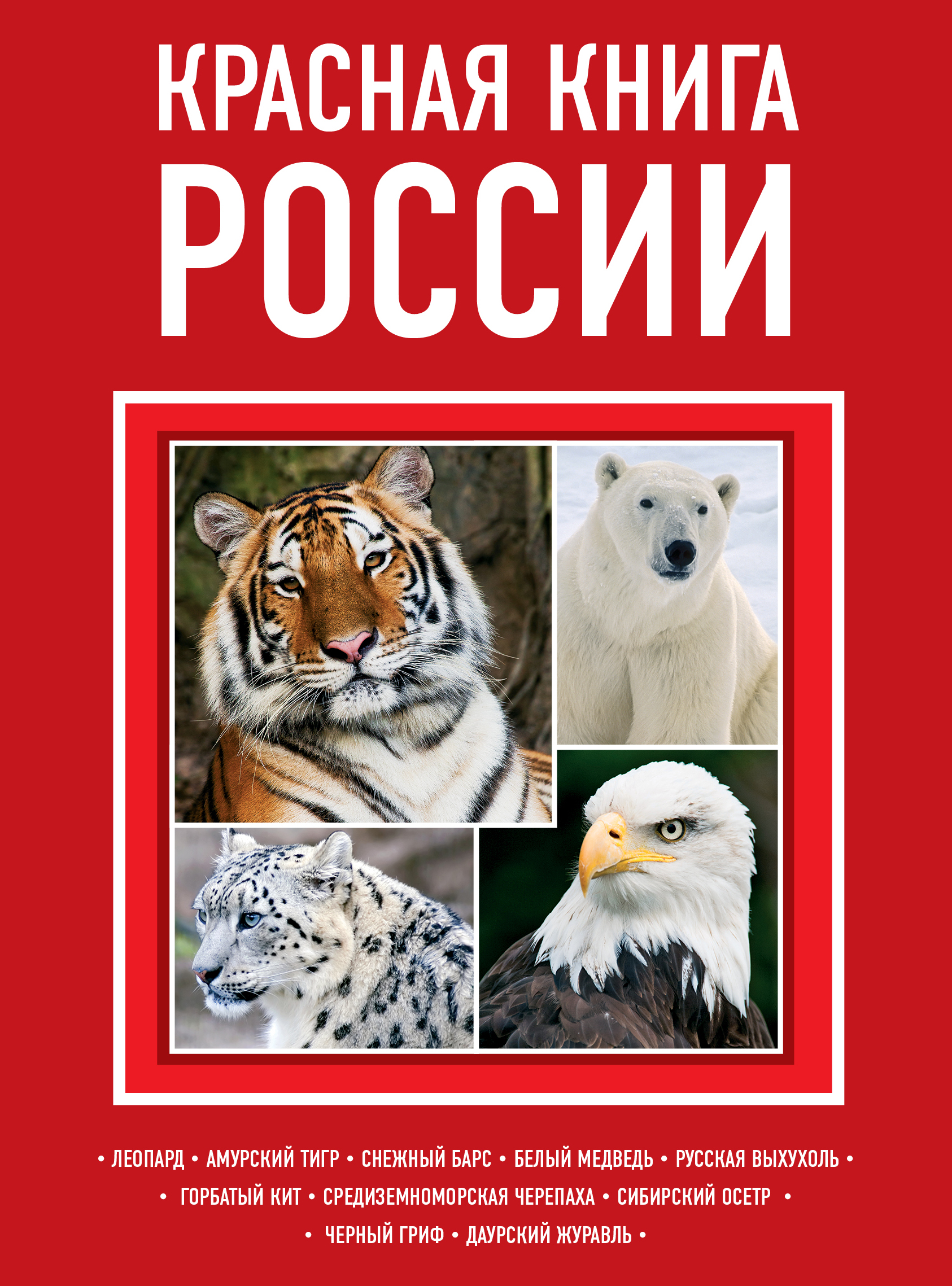 Красная книга pdf