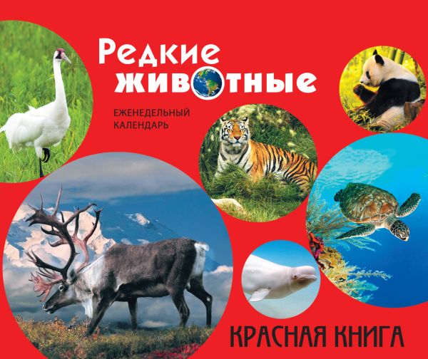 Редкие животные. Красная книга (серия Подарочные издания. Календари на 52 недели) Редкие животные. Красная книга (серия Подарочные издания. Календари на 52 недели) Скалдина О.В., Слиж Е.А.