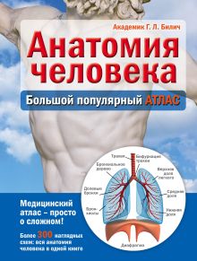 Обложка Анатомия человека: большой популярный атлас Г. Л. Билич