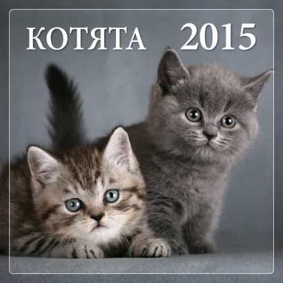 Обложка Котята 2015 