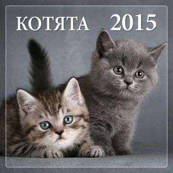 Котята 2015 Котята 2015 Онищенко Н.