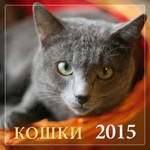 Кошки 2015
